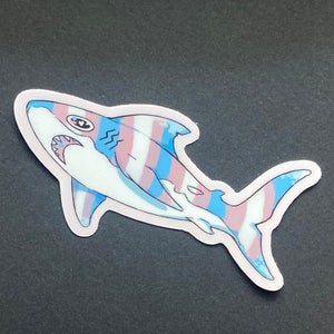 Trans shark sticker