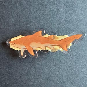sand tiger shark hair clip