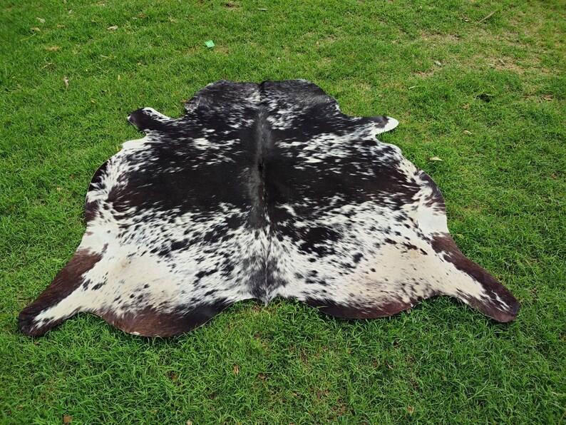 Puede incluir: Una alfombra de piel de vaca negra y blanca con detalles marrones. La alfombra tiene un patr&oacute;n de manchas y est&aacute; colocada sobre una superficie de hierba verde.
