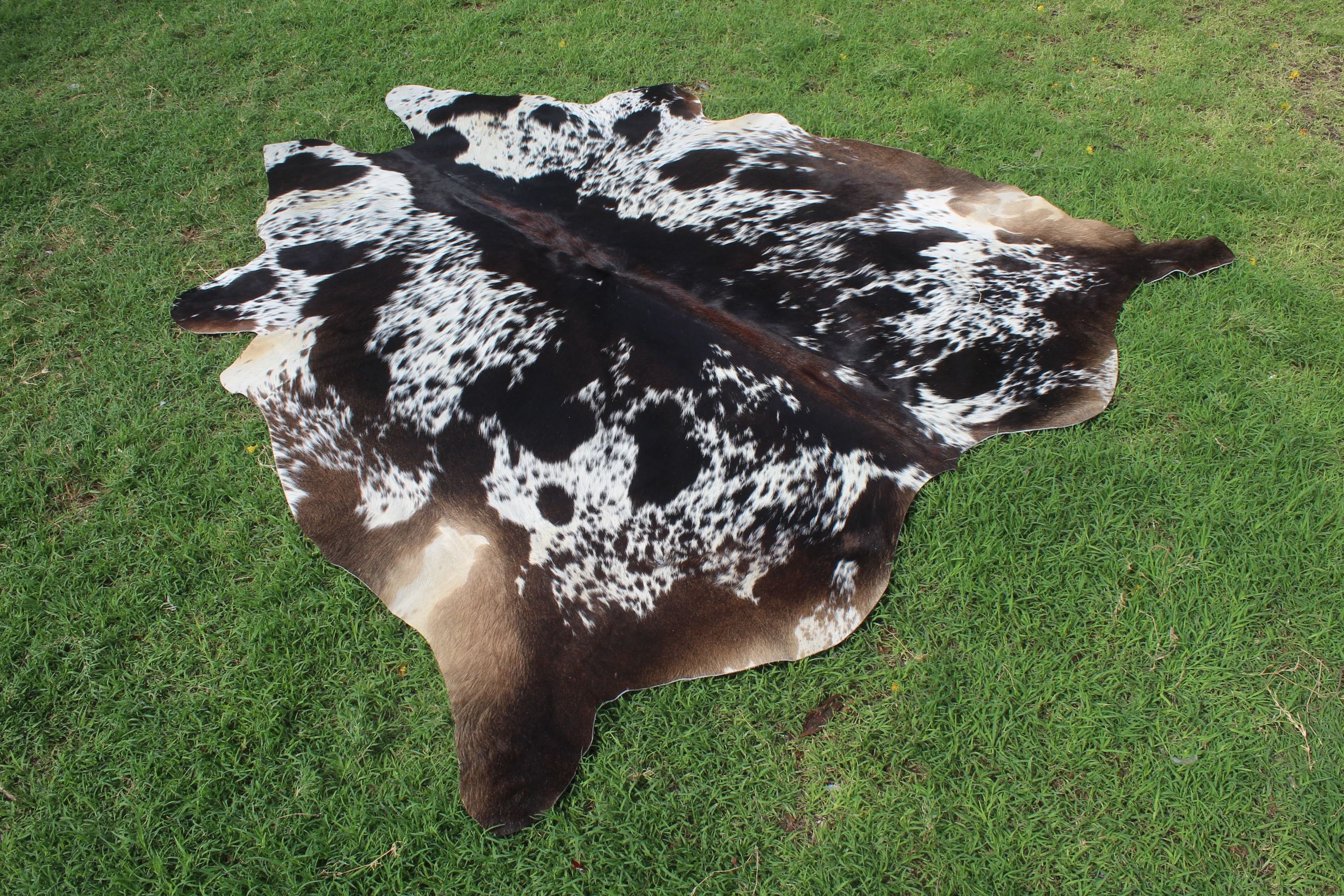 Tricolor Cowhide Rug Large Tricolor Cow Hide Area Rug Tricolor Cowhide