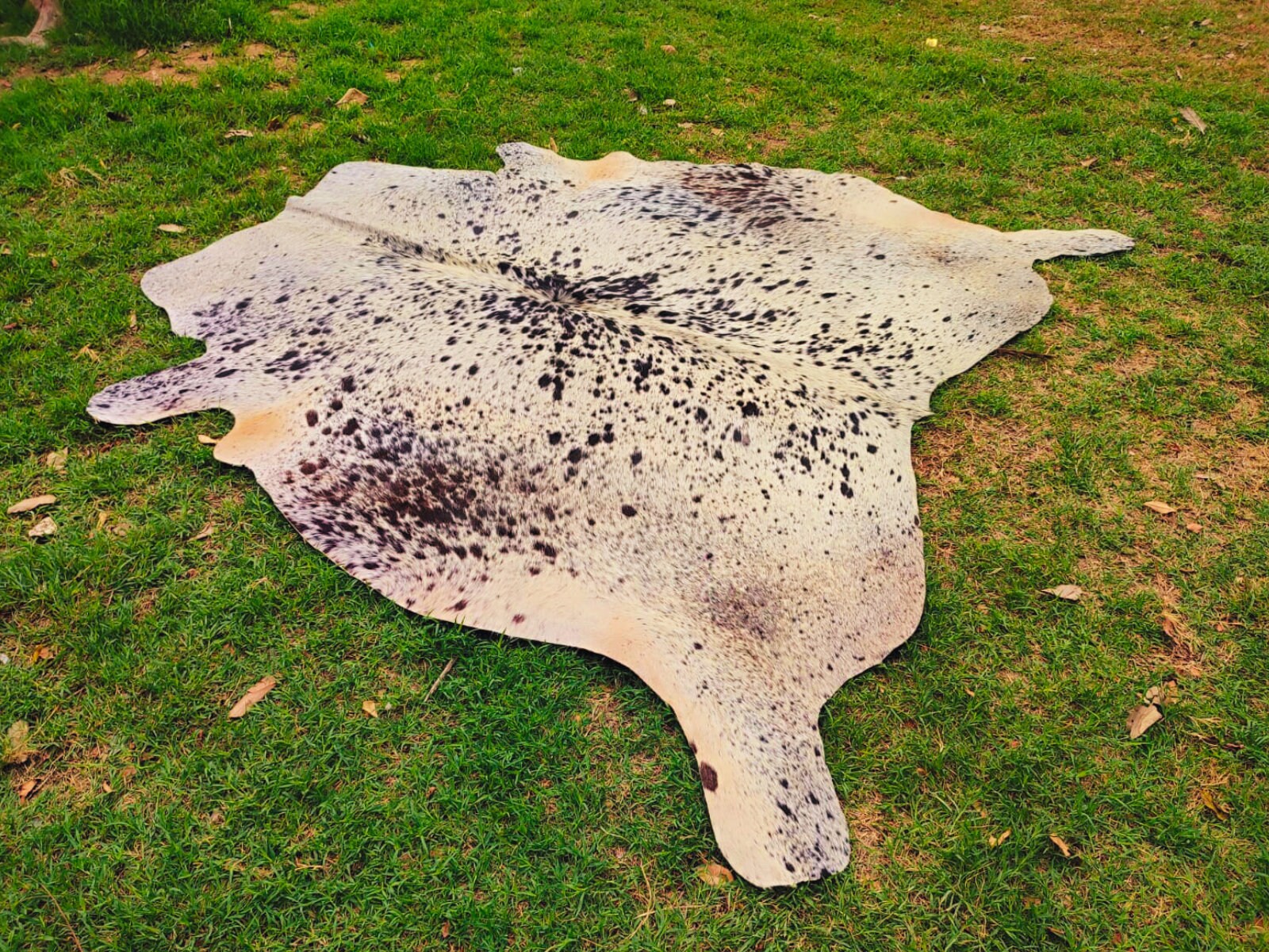 Tricolor Cowhide Rug Real Cow Hide Rug Speckled Tricolor Cow Skin Rug