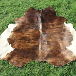 K&ouml;nnte beinhalten: Ein brauner und wei&szlig;er Kuhfellteppich mit einem nat&uuml;rlichen, rustikalen Look. Das Fell ist weich und geschmeidig, mit einem nat&uuml;rlichen Glanz. Der Teppich ist perfekt, um jedem Raum einen Hauch von W&auml;rme und Textur zu verleihen.