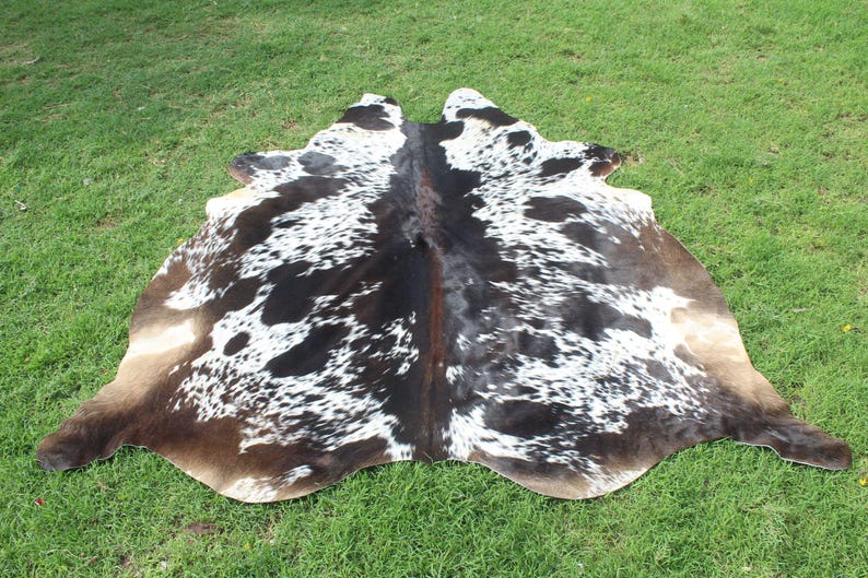 Puede incluir: Una alfombra de piel de vaca marr&oacute;n y blanca con un patr&oacute;n de manchas. La alfombra est&aacute; colocada sobre una superficie de hierba verde.