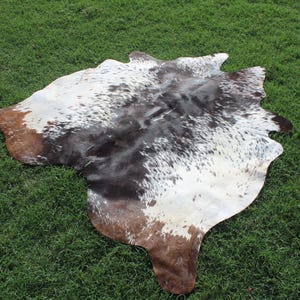 Puede incluir: Una alfombra de piel de vaca marr&oacute;n y blanca con un patr&oacute;n de manchas. La alfombra est&aacute; colocada sobre una superficie de hierba verde.
