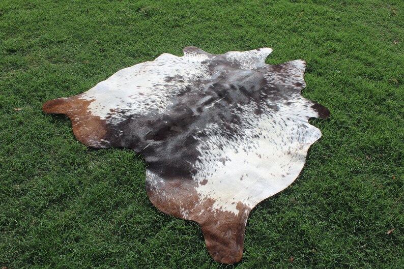 Puede incluir: Una alfombra de piel de vaca marr&oacute;n y blanca con un patr&oacute;n de manchas. La alfombra est&aacute; colocada sobre una superficie de hierba verde.