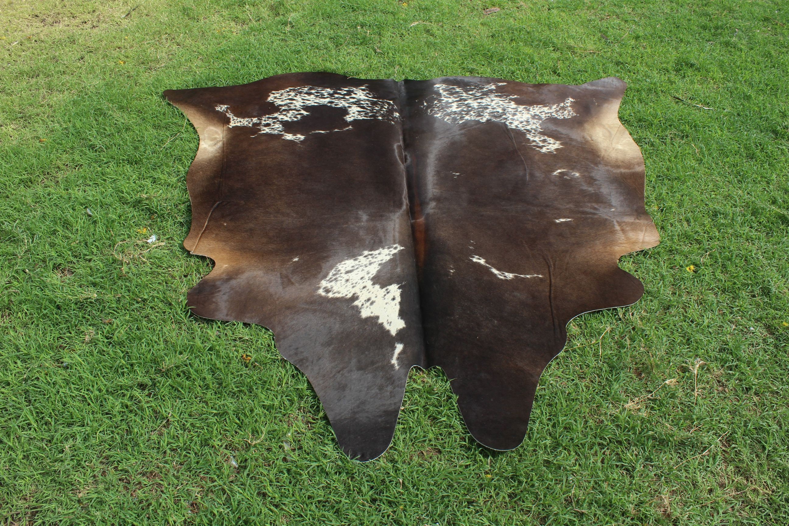 Tricolor Cowhide Rug Large Tricolor Cow Hide Area Rug Tricolor Cowhide