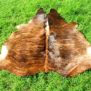 May include: A brown and white cowhide rug with a natural, mottled pattern. The rug is laid out on a green grassy surface.