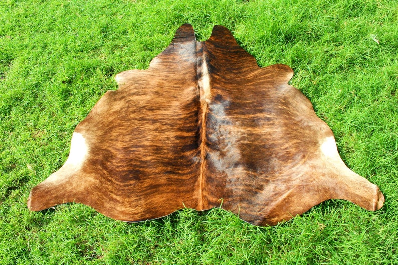 May include: A brown and white cowhide rug with a natural, mottled pattern. The rug is laid out on a green grassy surface.
