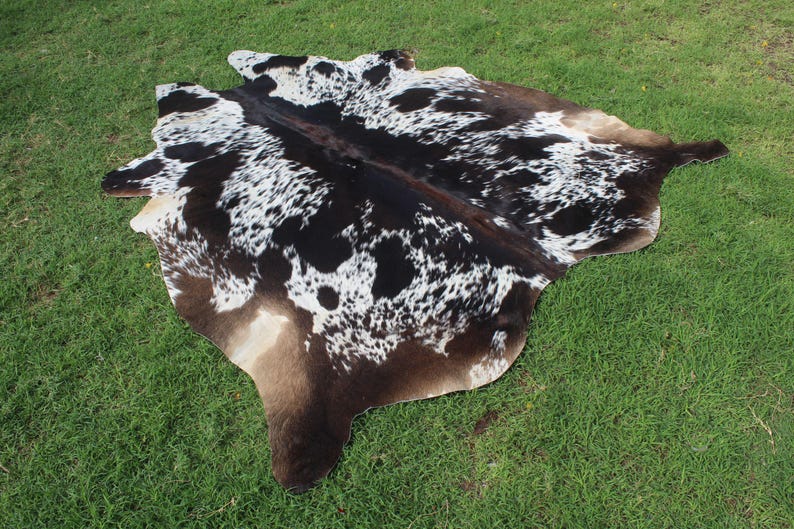 Puede incluir: Una alfombra de piel de vaca marr&oacute;n y blanca con un patr&oacute;n de manchas negras y blancas. La alfombra est&aacute; colocada sobre una superficie de hierba verde.