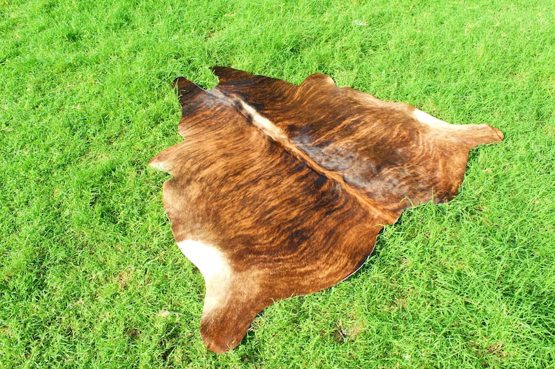 May include: A brown and white cowhide rug with a natural, mottled pattern. The rug is laid out on a green grassy surface.