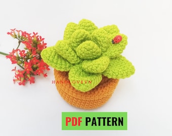 PATTERN: Crochet Succulent plant, Handmade Plant Decor,  DIY Cactus Home Decor, Cozy Room Accent, Desk-Office Decoration, Easy for beginners