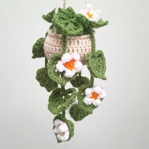 PATTERN: Step-by-step instructions for crocheting a Monstera leaf hanging planter with daisy flower, cute car rear view mirror, home decor image 4