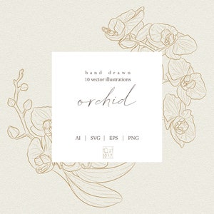 Arte em linha de orquídea, clipart botânico, SVG, desenhado à mão, arte em linha de flores, botão, guirlanda, vetor, folhagem, decorar, flor, folha, desenho de linha