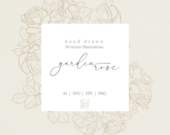 Dibujo lineal de rosa de jardín, dibujo lineal de ramo, imágenes prediseñadas botánicas, SVG, dibujado a mano, ramas florales, vector, flor, decoración, follaje, dibujo lineal
