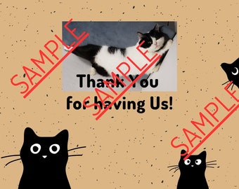 May include: A thank you card with a black and white cat laying on a couch. The card says "Thank You for having Us!" and has three black cats with white eyes on the sides.