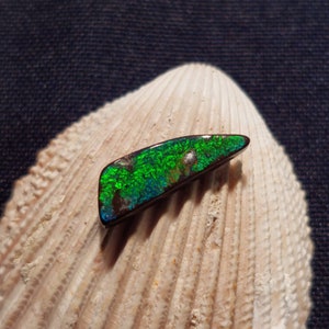 Könnte beinhalten: Ein grüner und blauer Opal-Edelstein mit einer dunkelbraunen Rückseite. Der Opal ist auf einer weißen Muschel platziert.