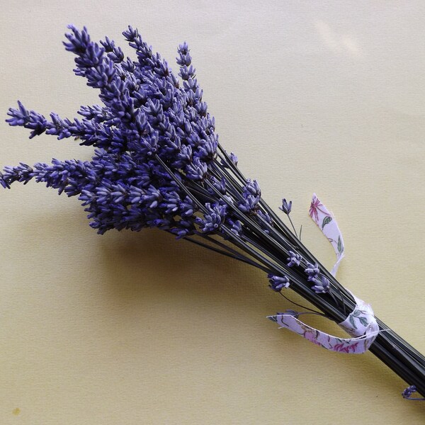 Bunch of English lavender, dried flower resin craft, candle making and pot pourri