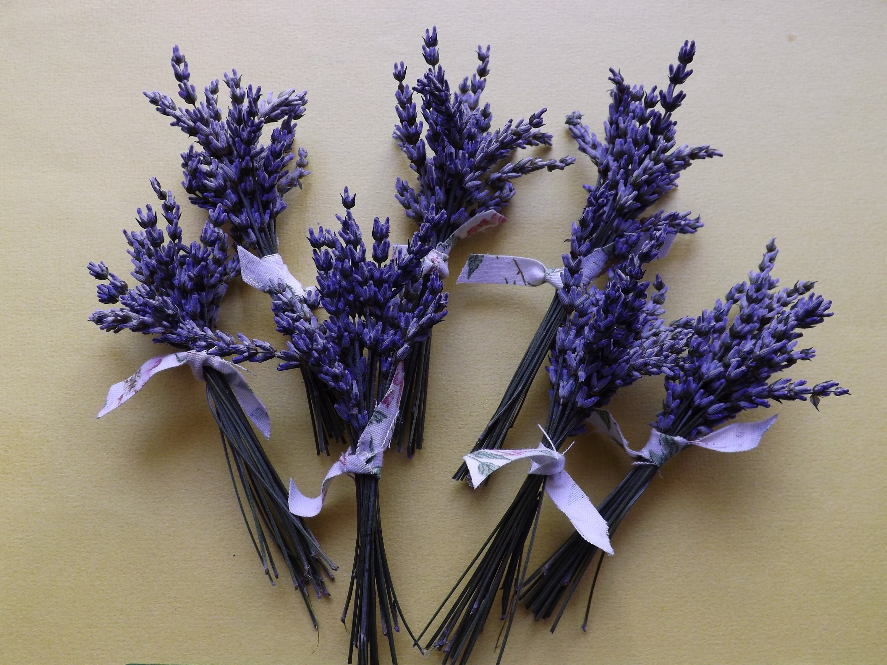  Dried Lavender Flower Buds for Crafts, Baking, Tea