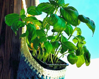 Crochet Hanging Plant Holder Pattern| Beginner Friendly| PDF Instant Download