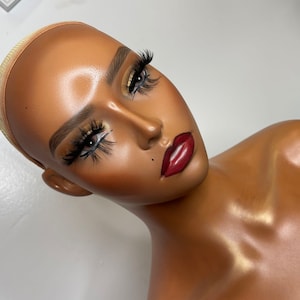 Bald Mannequin Head Dark Brown Professional Cosmetology Head Make up Doll  Head for Wig Making - China Wig Display Mannequin Head and Showing Model  Head price