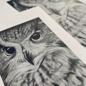 Art print from Original Pencil Drawing: A Beautifully Detailed and Realistic Drawing of an Owl