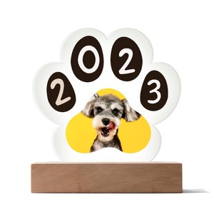 Pet Memorial Gift, Personalized Dog Memorial Acrylic Paw Print Plaque, Custom Pet Loss Keepsake, Sympathy Gift, Pet Memorial Plaque