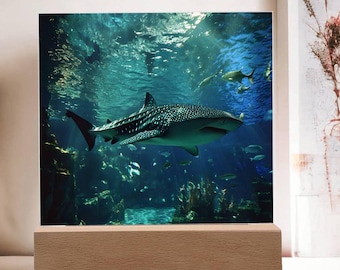 Whale Shark Acrylic LED Night Light: Aquarium Decor