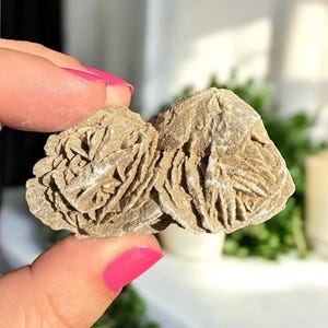 Desert Rose Crystal Specimen, Selenite Desert Rose Specimen, Rare ...