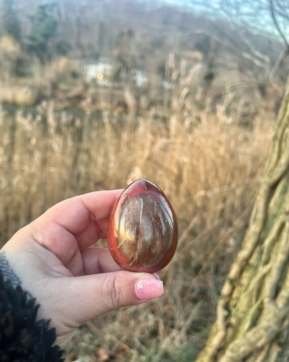 Petrified Wood Egg, Fossilized Eggfossilized Woodfossilspecimenancient  Artifactscollectiblesrare Fossilsprehistoric Fossil - Etsy