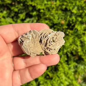Desert Rose Crystal Specimen, Selenite Desert Rose Specimen, Rare ...