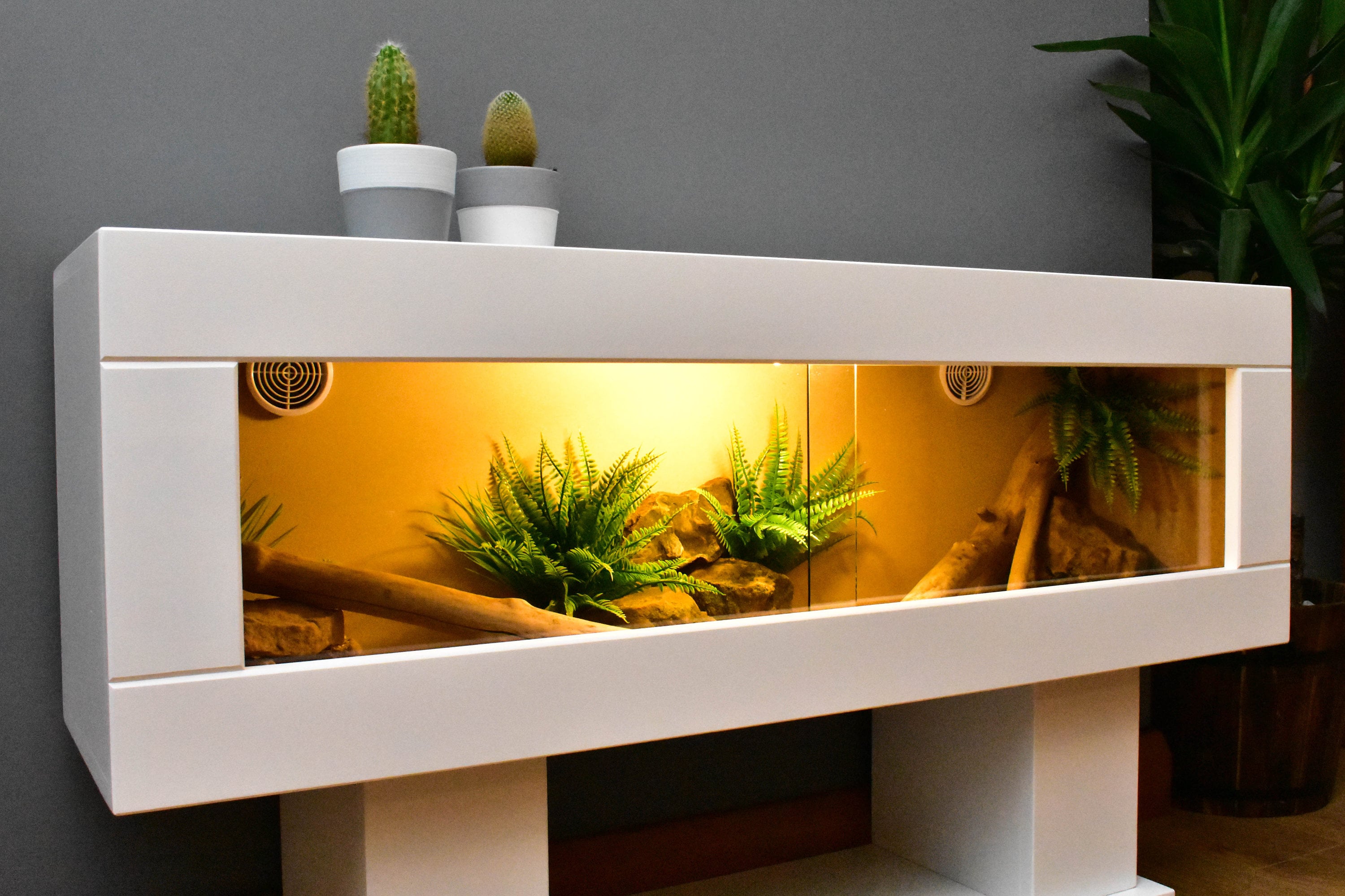 4ft Modern Reptile Vivarium With Low Display Stand Etsy UK