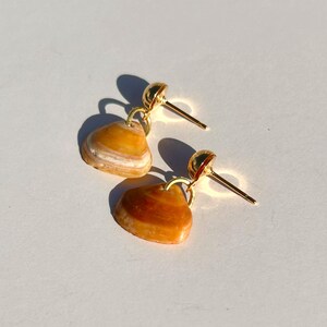 May include: A pair of seashell earrings with gold-colored posts and accents. The earrings feature small, heart-shaped shells in shades of orange and white. The earrings are displayed on a white surface.