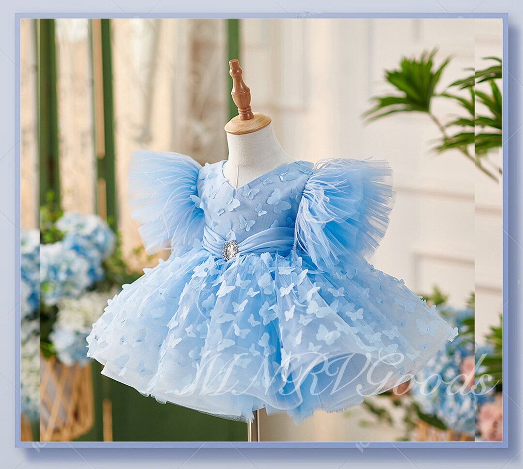 Fairy Dress,Blue Sleeveless Ball Gown With Pink Butterflies Y1387 main image 1