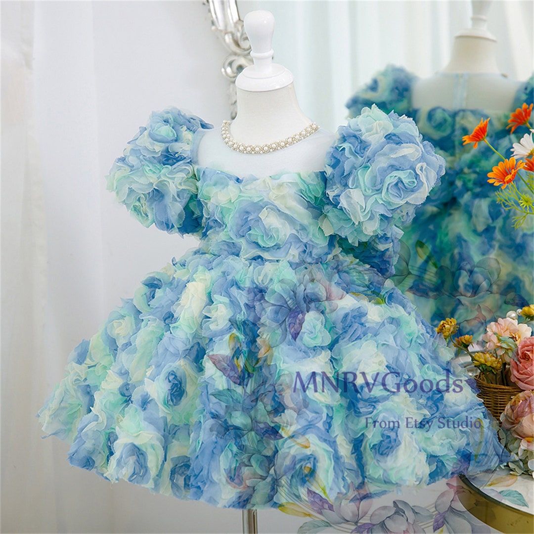 3D Flower Applique Blue Pageant Dress for Wedding Junior Pageant Prom ...