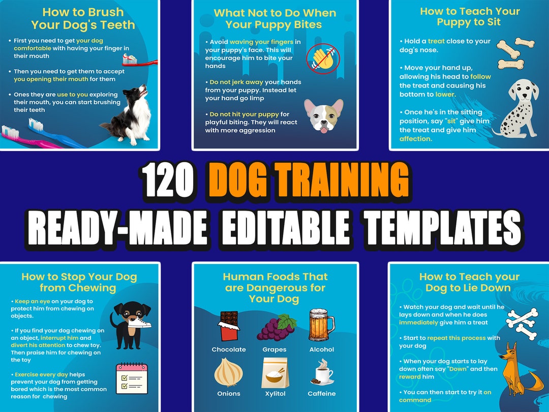 120 Dog Training Templates, Dog Training Infographics, Dog Training 120 Dog Training Templates, Dog Training Infographics, Dog Training
