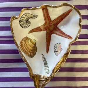 Può includere: Un piatto in ceramica bianca a forma di conchiglia di ostrica con un bordo dorato. Il piatto è decorato con una stella marina rossa, una conchiglia marrone e bianca, una conchiglia rosa e una conchiglia bianca.