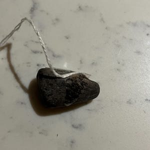 Fossil bajs från ichthyosauriekoprolit från marin reptil ichthyosaurie eller plesiosaurie forntida varelse Lyme Regis Dorset Storbritannien funnen