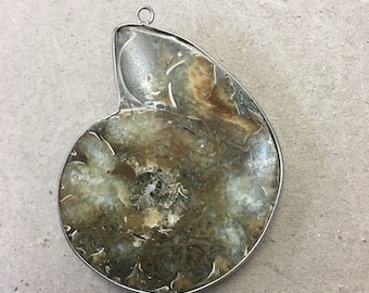 Fossil Ammonite Pendant Necklace Polished Slice Natural Half Segment from Madagascar Calcite inclusions
