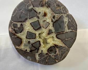 Septarian Crystal Nodule Polished Half UV Reactive Stunning