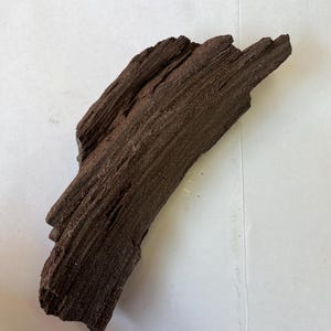 Fossil Wood Quartz Crystal Druzy Petrified Wood Rare Druze From Germany Sparkling Quartz Coating