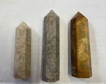 Fossil Coral Jasper Crystal Tower Carving Obelisk Coral Jasper