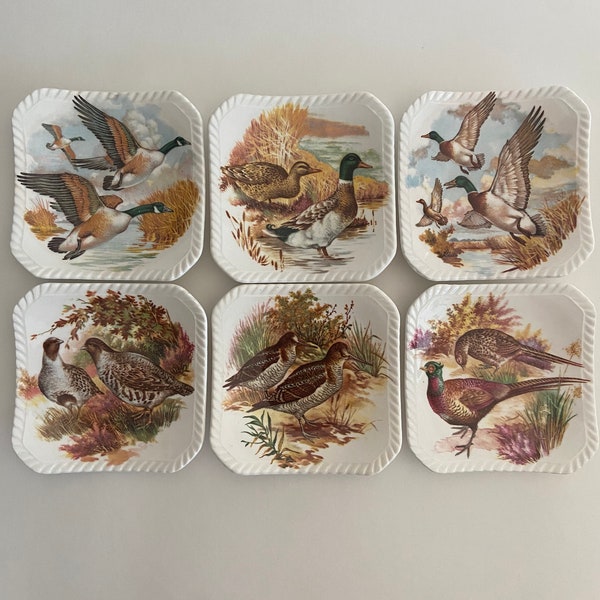 Vintage Game Bird coasters/tea bag holders/small plates