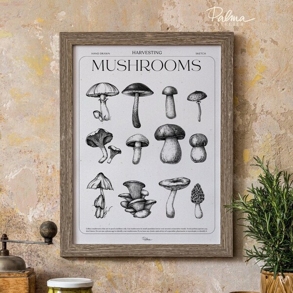 La Cueillette, Affiche Champignons Illustration Botanique Dessin Vintage Décoration Cuisine Anciens Fruits et Légumes