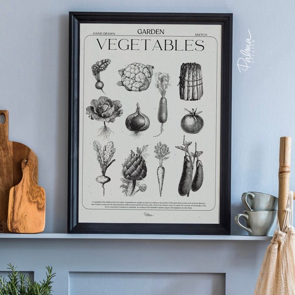 Les légumes, Affiche 11 légumes Illustration Botanique Dessin Vintage Décoration Cuisine Anciens Fruits et Légumes typographie Vintage