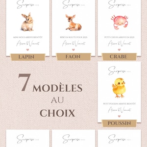 Carte Annonce Grossesse Dessin Petit Lapin Poussin Animal Mignon bébé arrive On va être parents je suis enceinte papi mamie tata tonton tati