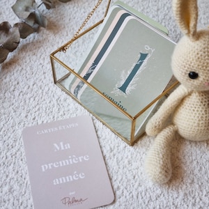 Cartes Étapes mixte 12 mois cadeau naissance bébé fille garçon première année parents pastel neutre vert kaki sauge terracotta beige fleurs