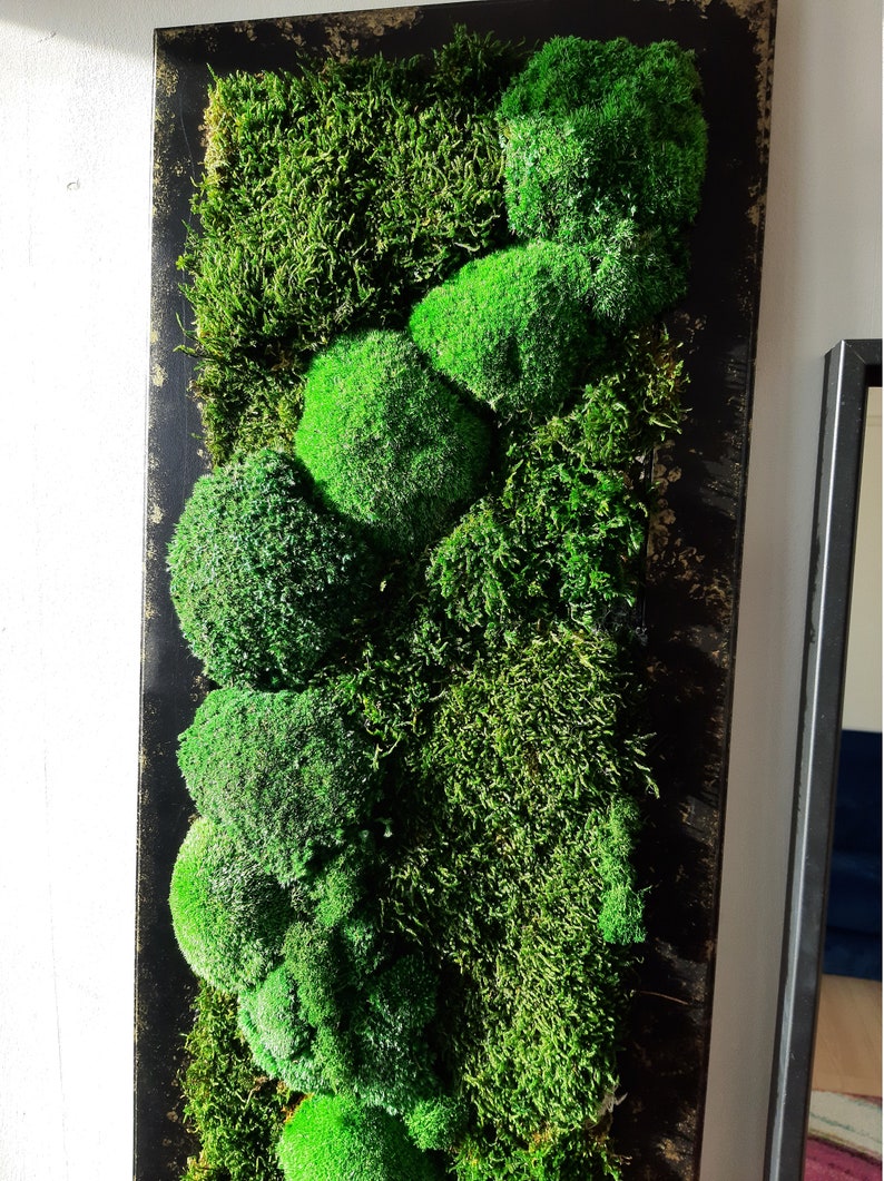 Moss Artwork Moss Artwork