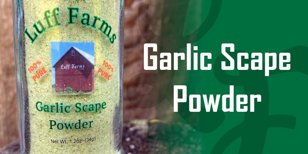 Garlic Scape Powder Spices Herbs Fresh Homemade Etsy