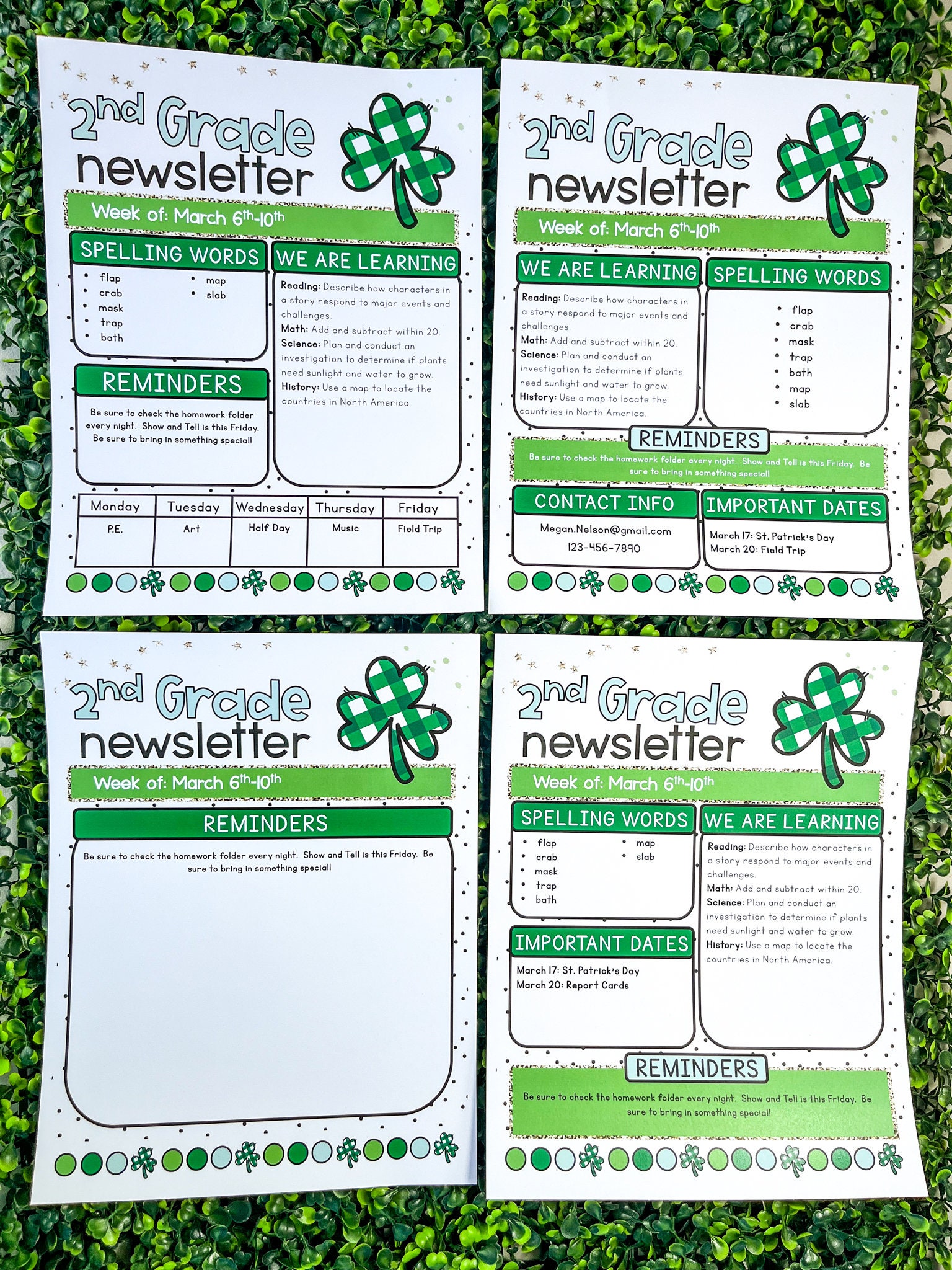 Editable St. Patrick's Day Classroom Newsletter Template (digital ...