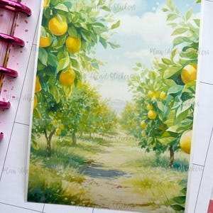 Lemon Grove Big Sticker Bullet Journaling Boxes Planer Card Making Happy Planner Condren Hobonichi Cousin A5 Sommer Lemonade Juni Juli
